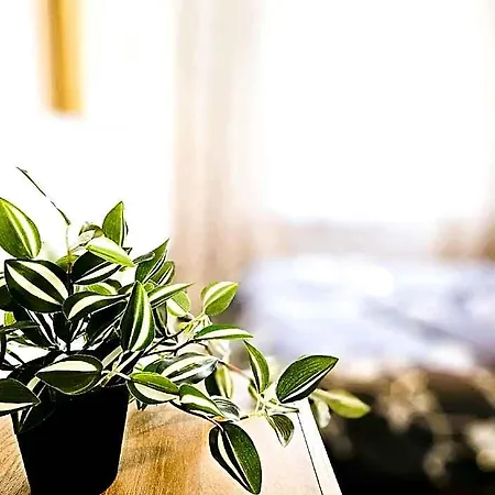 Hotel Cofy Rentals, A/c, Free Parking, Online Check-in! 3*