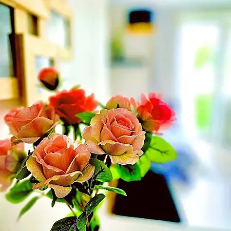 Hotel Cofy Rentals, A/c, Free Parking, Online Check-in!