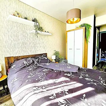 Cofy Rentals, A/c, Free Parking, Online Check-in! Tartu