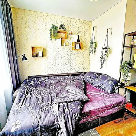 Hotel Cofy Rentals, A/c, Free Parking, Online Check-in!